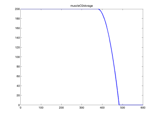 muscleO2storage