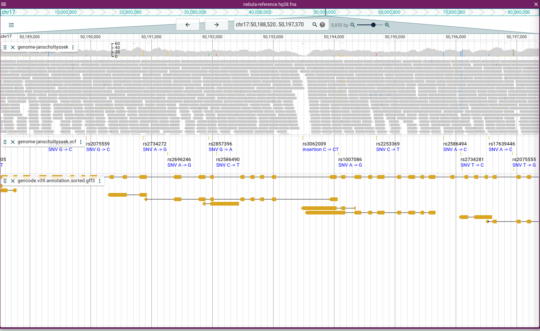 Genome sequencing